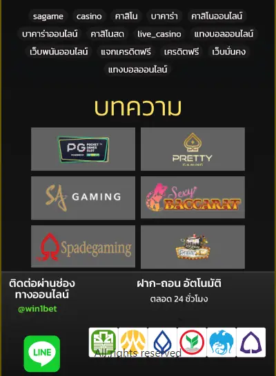 บทความ